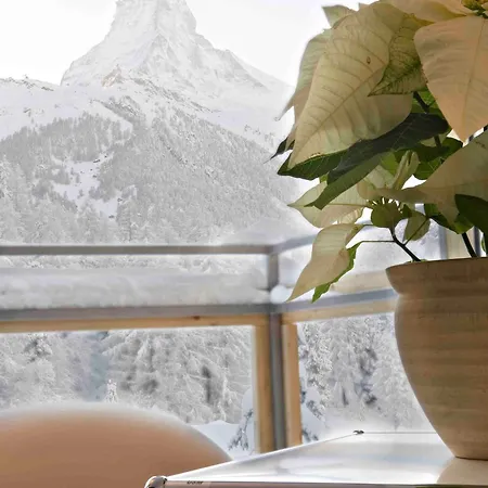 Altesse - Premium Zermatt